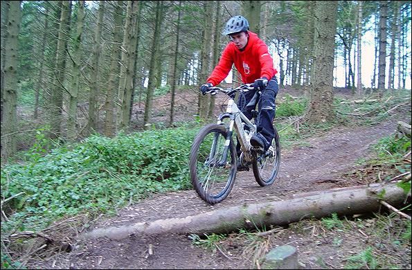 Mountain Bike