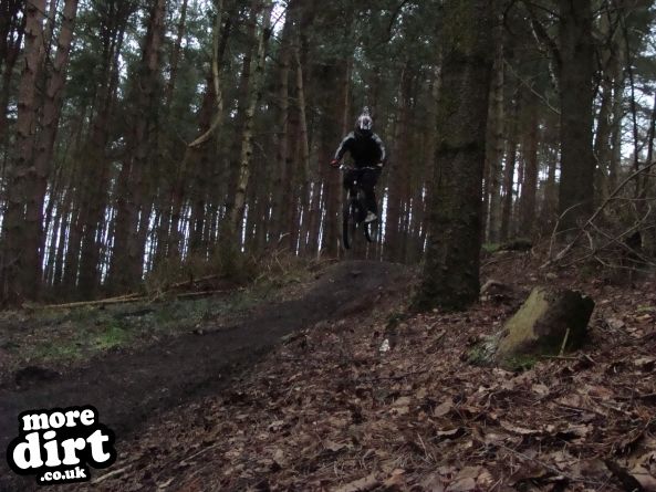 Descent Line Trail - Stainburn Forest