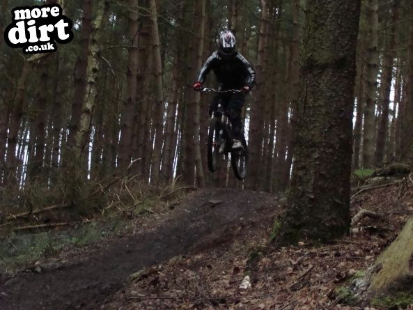 Descent Line Trail - Stainburn Forest