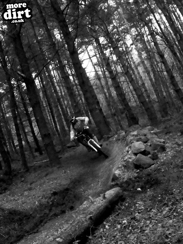 Descent Line Trail - Stainburn Forest