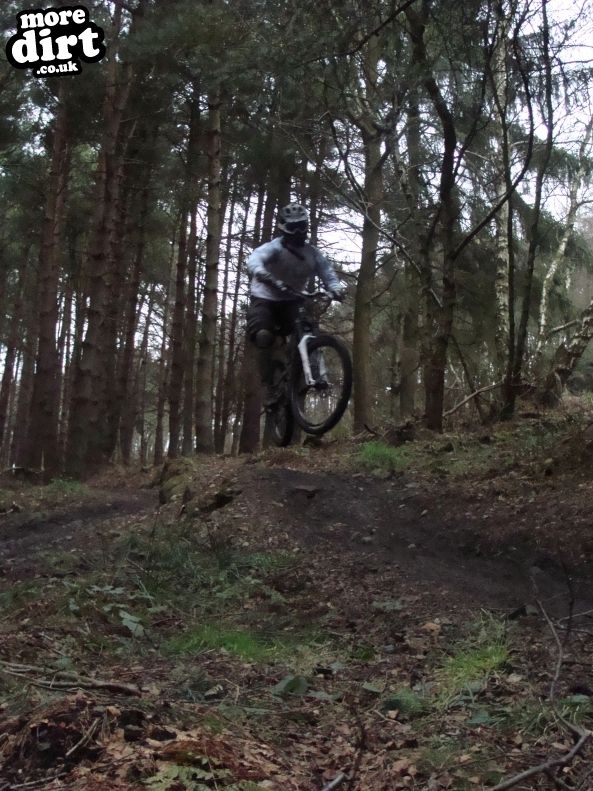 Descent Line Trail - Stainburn Forest