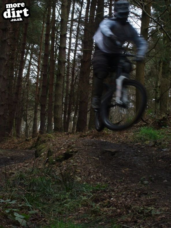 Descent Line Trail - Stainburn Forest