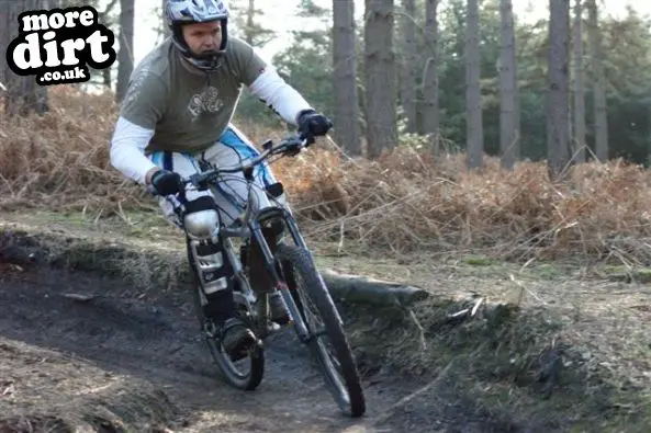 Swinley Forest Mountain Bike Centre