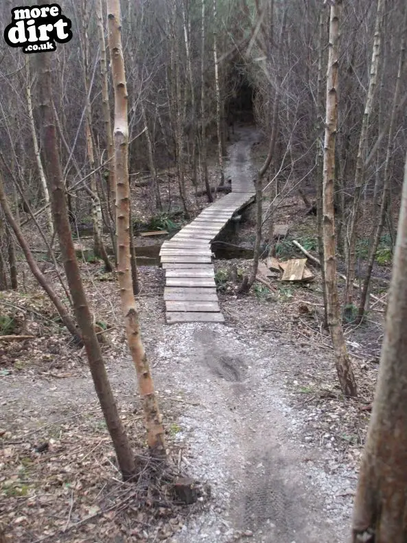 bedgebury bike trails