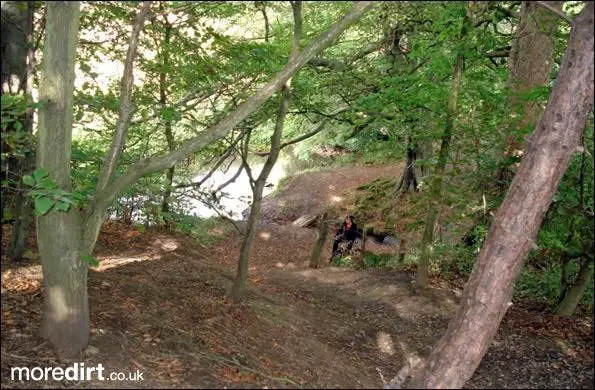 Silverlink to Hollywell Dene coastal Loop