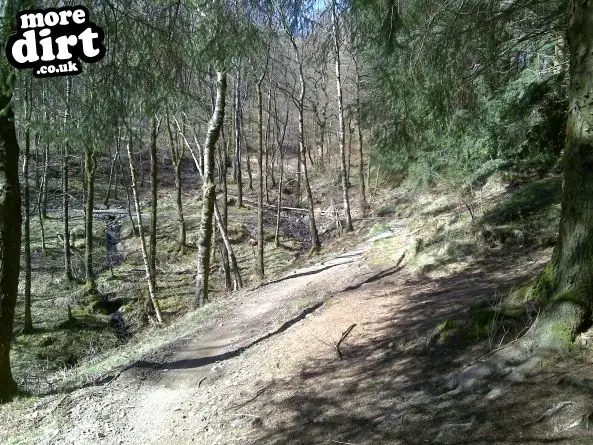 Gisburn Forest Mountain Bike Trails