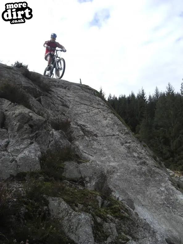 Black Craigs Trail - Kirroughtree