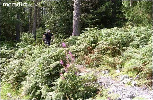 Penmachno Mountain Bike Trails