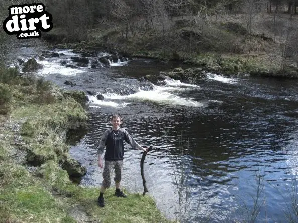 Black Craigs Trail - Kirroughtree