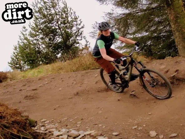 Black Trail - Coed Llandegla Forest