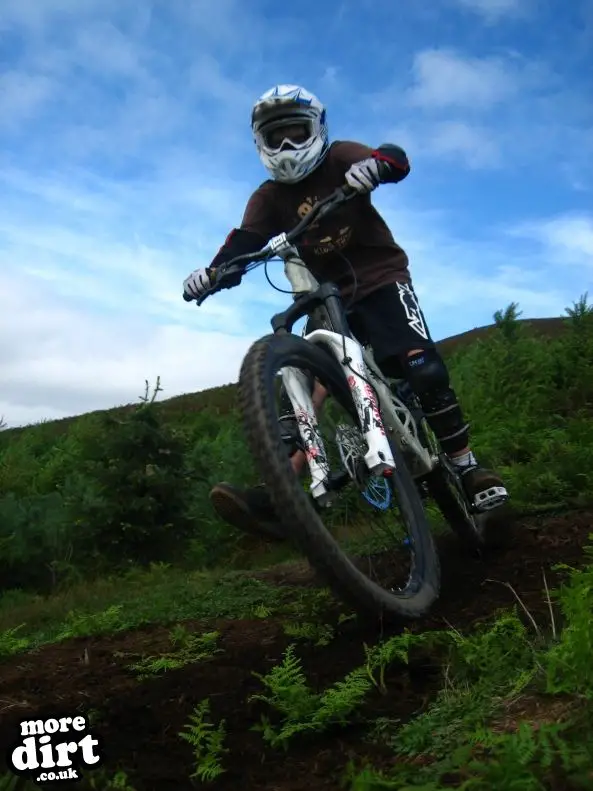 Carlton Bank DH