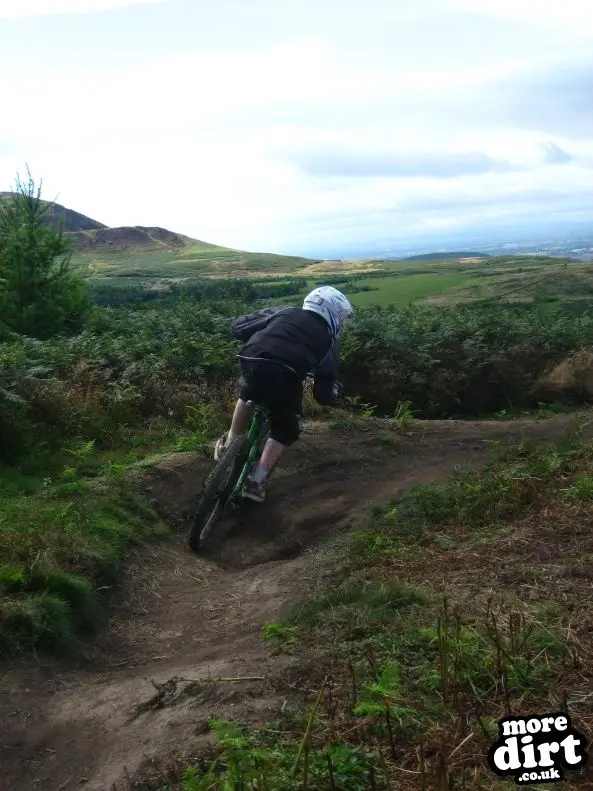 Carlton Bank DH