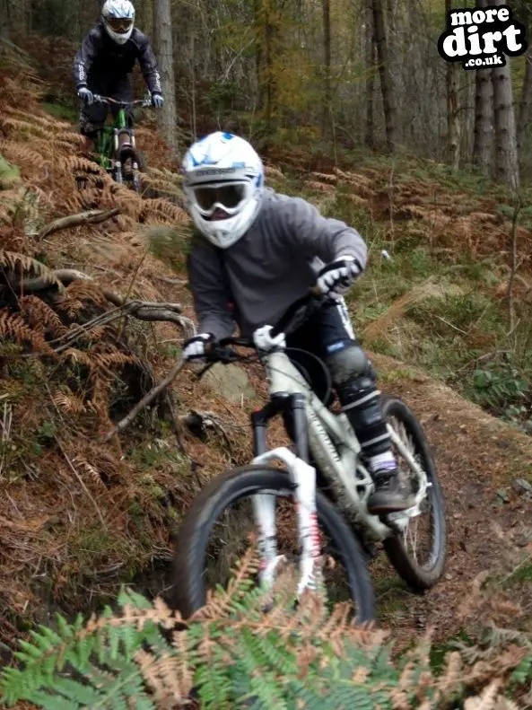 Silton Forest Downhill Track