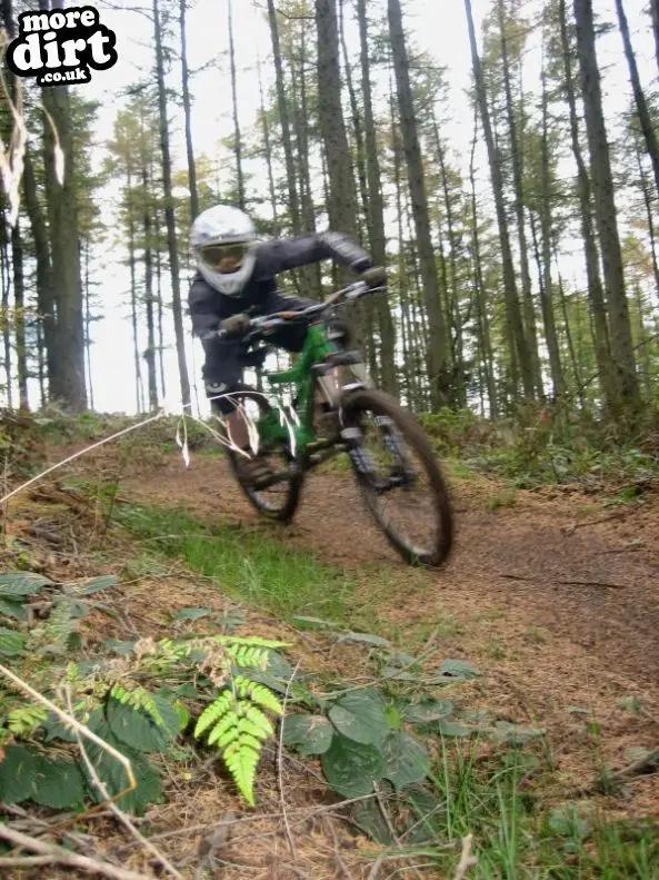 Silton Forest Downhill Track