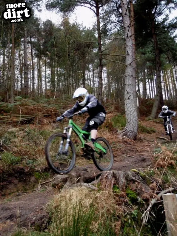 Silton Forest Downhill Track