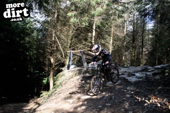 Gawton Mountain Bike Trails