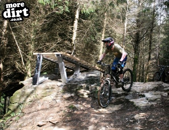 Gawton Mountain Bike Trails