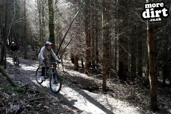 Gawton Mountain Bike Trails