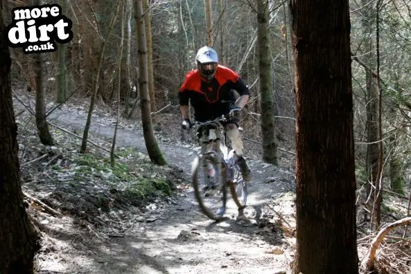 Gawton Mountain Bike Trails