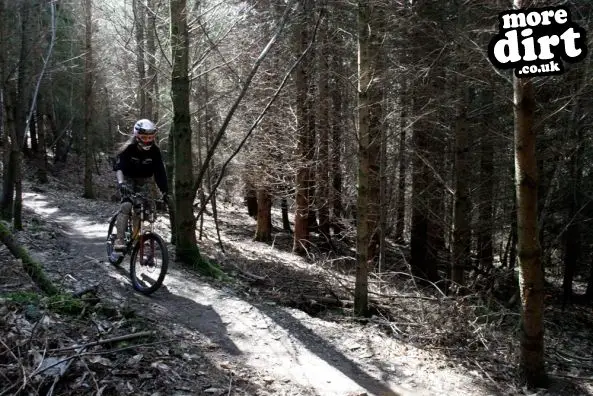 Gawton Mountain Bike Trails