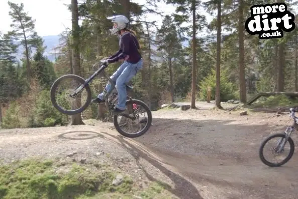 Freeride Park - Glentress