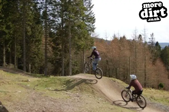 Freeride Park - Glentress