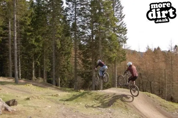 Freeride Park - Glentress