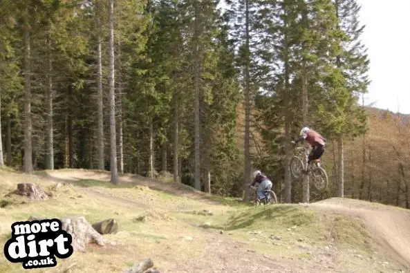 Freeride Park - Glentress