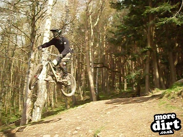 Innerleithen Mountain Bike Trails