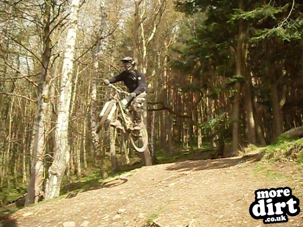 Innerleithen Mountain Bike Trails