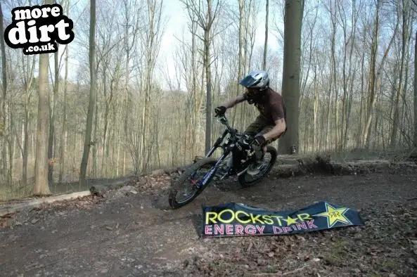 friston forest mtb