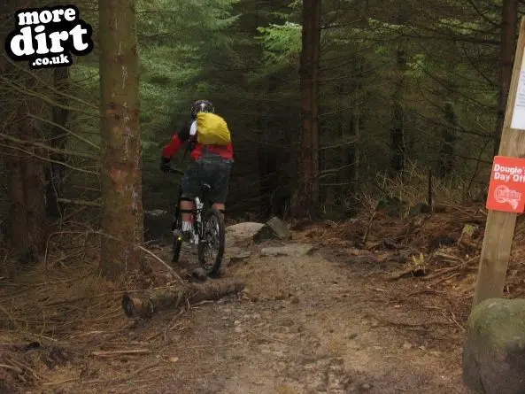 Deadwater Trail - Kielder Forest