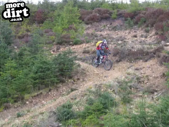 Up and Over Trail - Kielder Forest