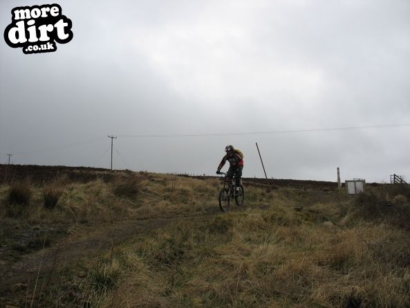 Deadwater Trail - Kielder Forest