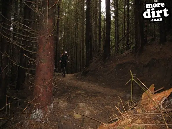 Up and Over Trail - Kielder Forest