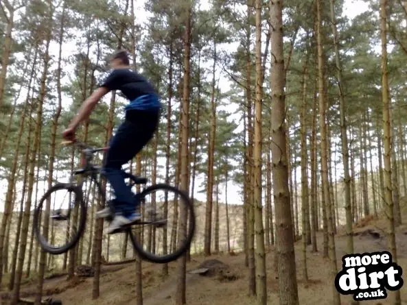 Kinver Freeride Park