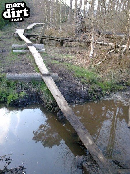 Follow the Dog Trail - Cannock Chase