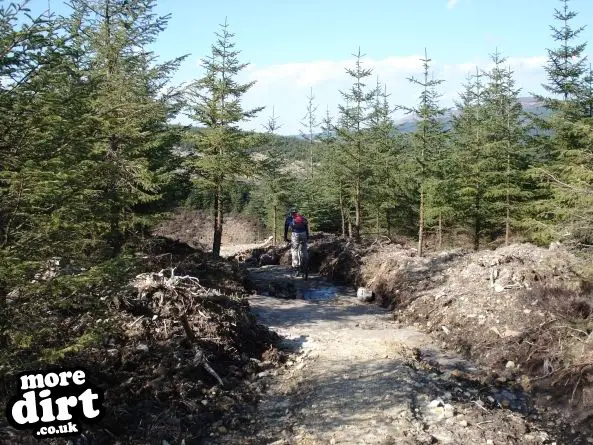 Lonesome Pine Trail - Kielder Forest