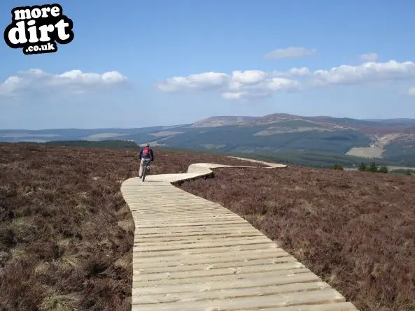 Lonesome Pine Trail - Kielder Forest