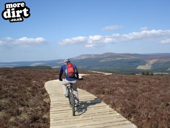 Lonesome Pine Trail - Kielder Forest