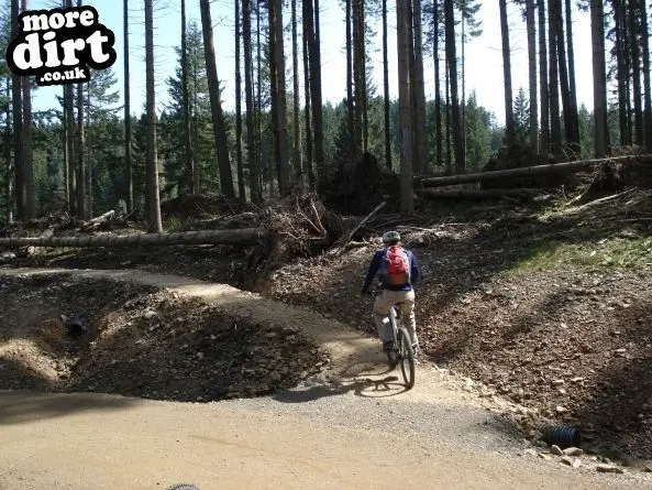 Lakeside Way, Kielder