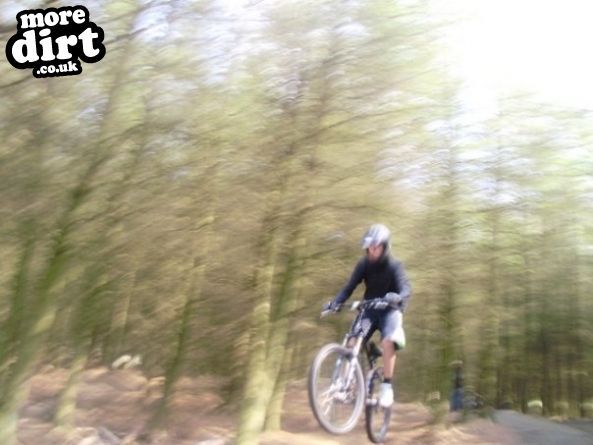 Buckstones Trails