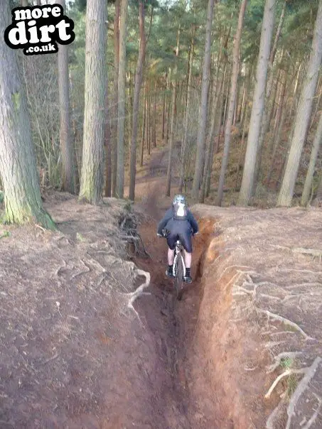 Delamere forest mountain online bike trails