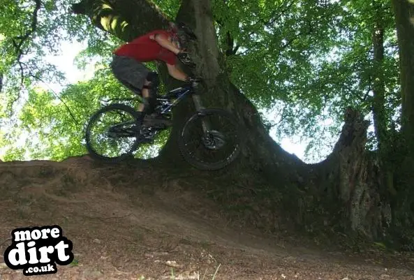 Triscombe Mountain Bike Trails