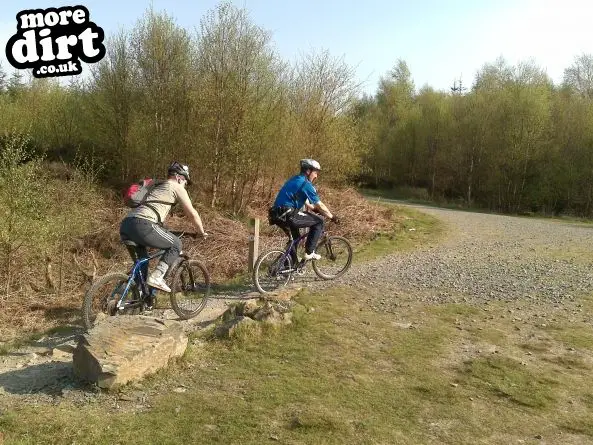 Gisburn Forest Mountain Bike Trails