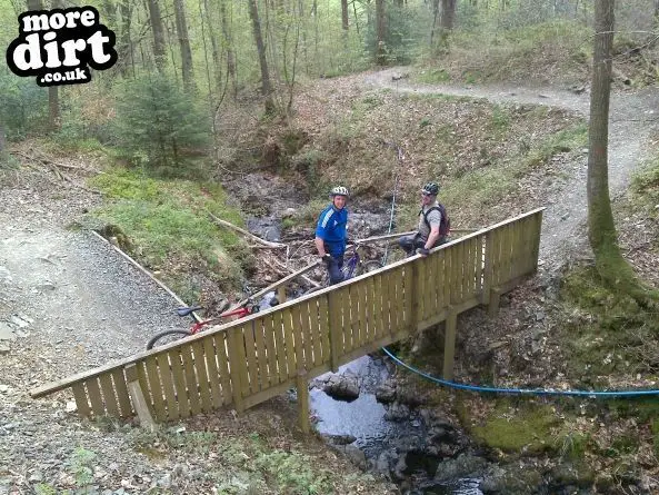 Gisburn Forest Mountain Bike Trails