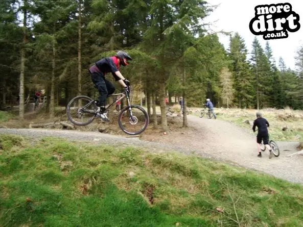 Freeride Park - Glentress