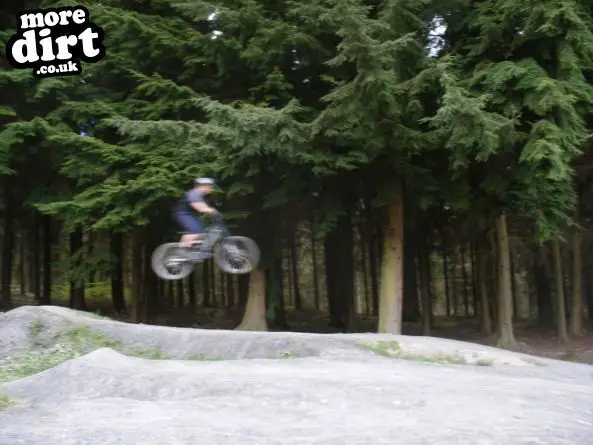 Downhill Trails - Forest of Dean