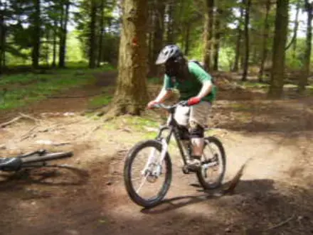 Downhill Trails - Forest of Dean