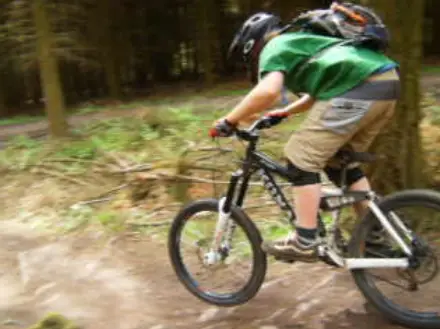 Downhill Trails - Forest of Dean